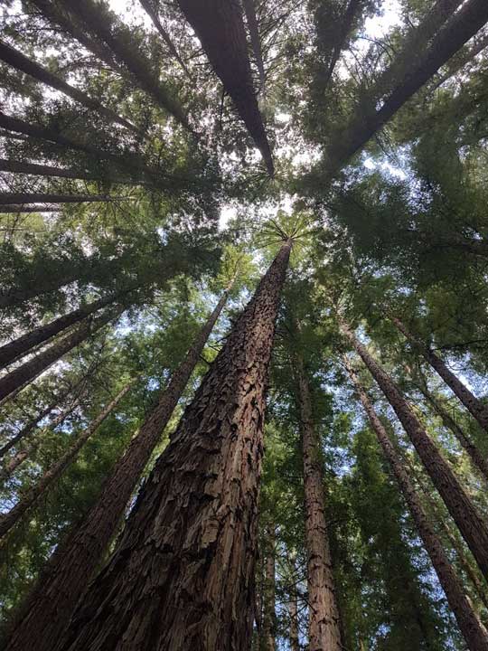 Resized_20181010_153209-(2)