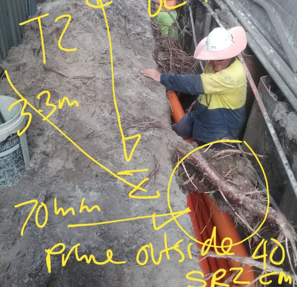 tree guru site supervision